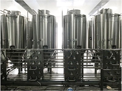 Fermentation System