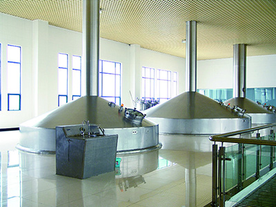 Wort Kettle System